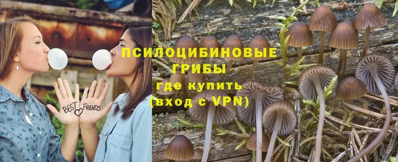 Галлюциногенные грибы Magic Shrooms  Карасук 